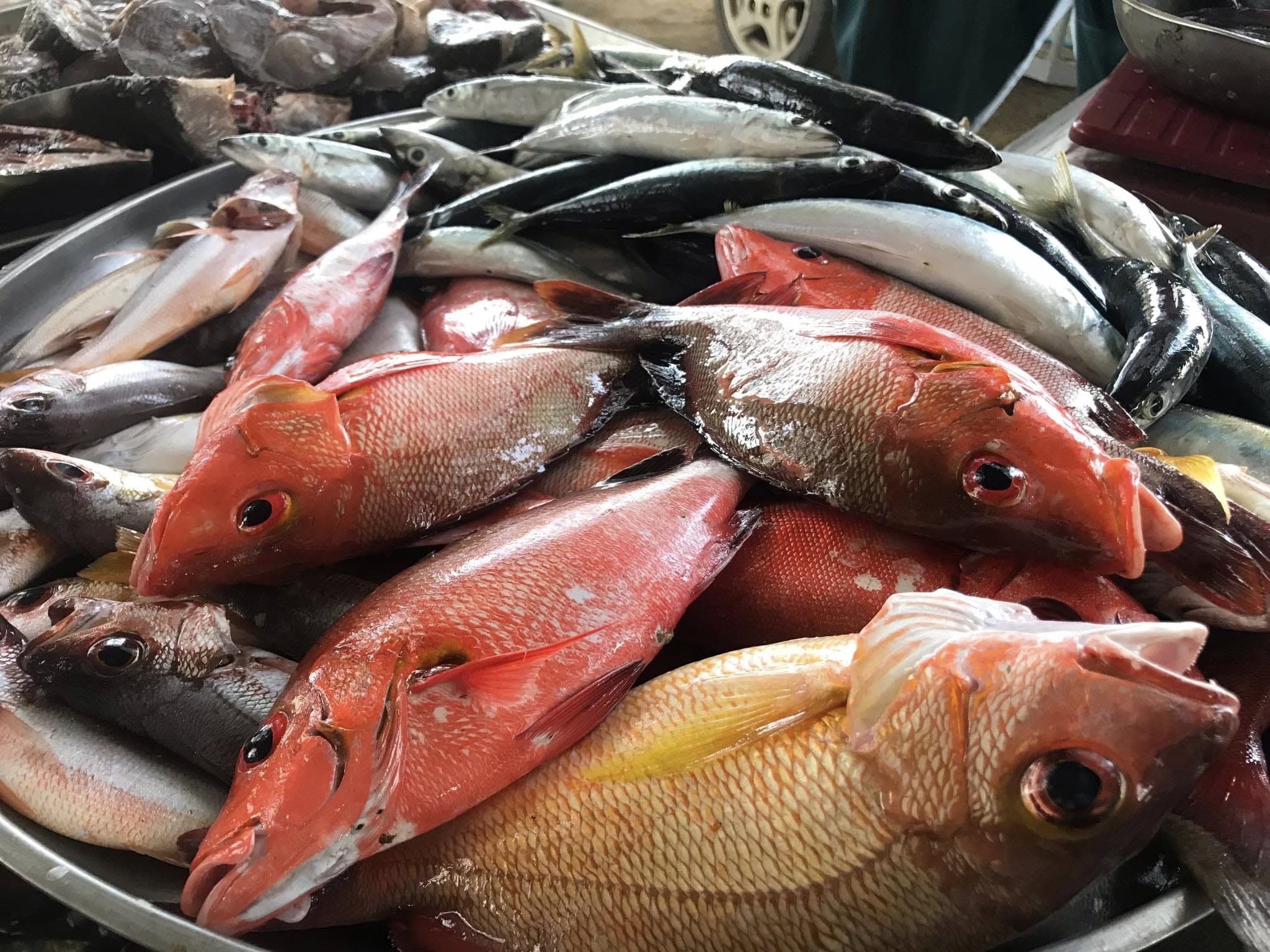 KADIWA NG PANGULO para sa mga Zambaleños Program